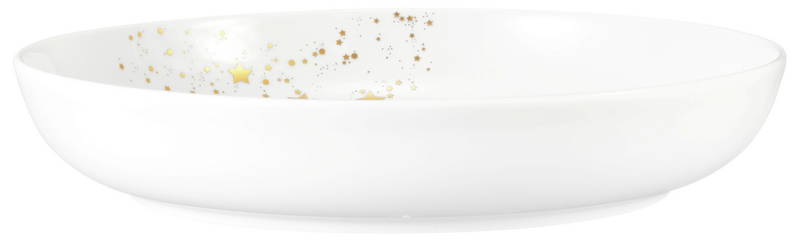 Seltmann Weiden Foodbowl GOLDEN STARS