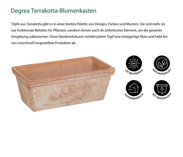 Degrea Terrakotta-Blumenkasten mit Olivendekor