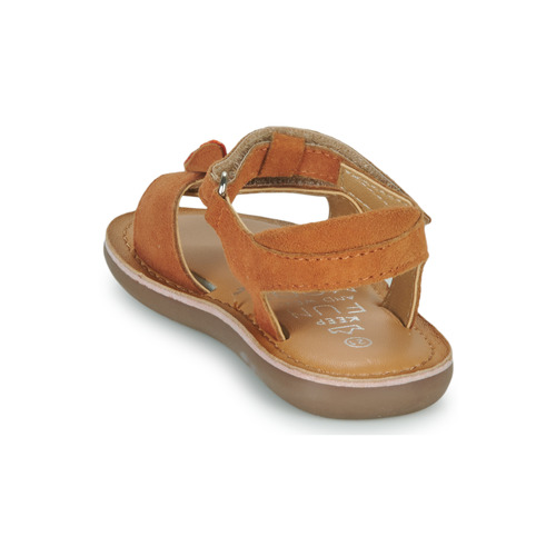 Mod'8 - CLOONIMALS - Cognac