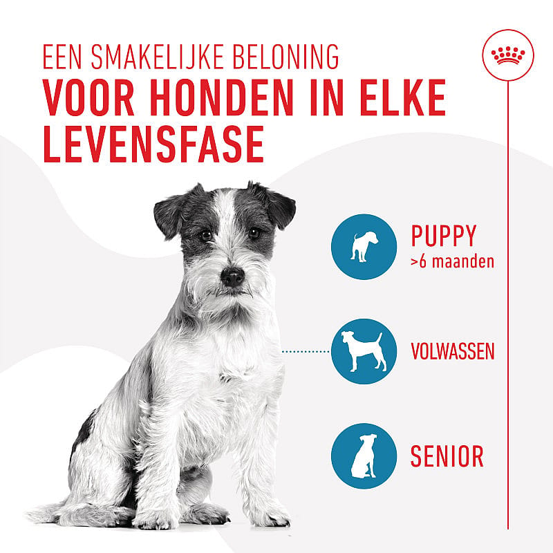 Royal Canin Training Treats 110 gram | 15752