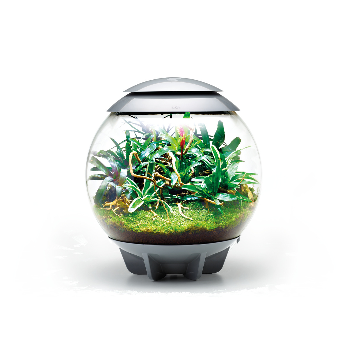 biOrb Air 30 Grijs | Plantenterrarium