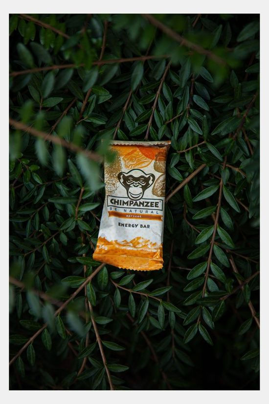 Chimpanzee Chimpanzee Apricot Reep