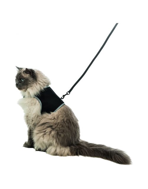 Trixie Kattenharnas Met Looplijn Xxl - Kattenharnas - 36-54 cm Zwart