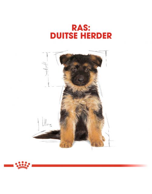 Royal Canin German Shepherd - Puppy-Hondenvoer