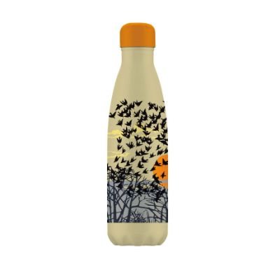 Aerial Manoeuvres Water 500Mlbottle