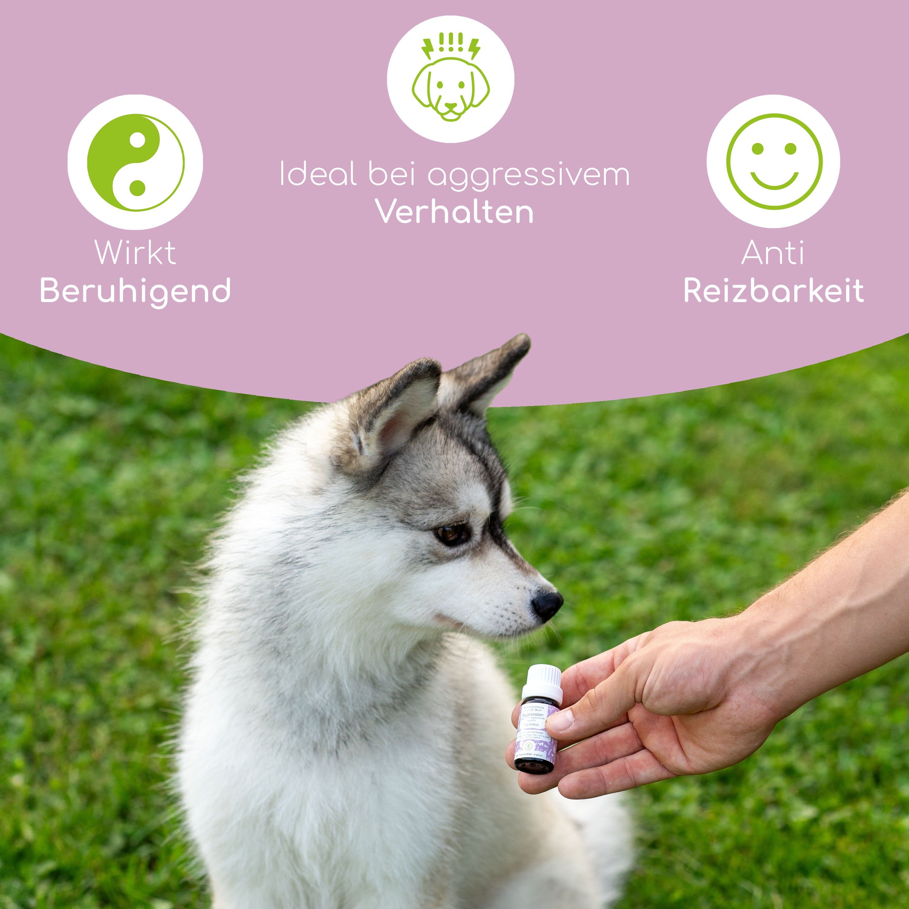 Wolfsbacher Natur Bachblüten Aggression