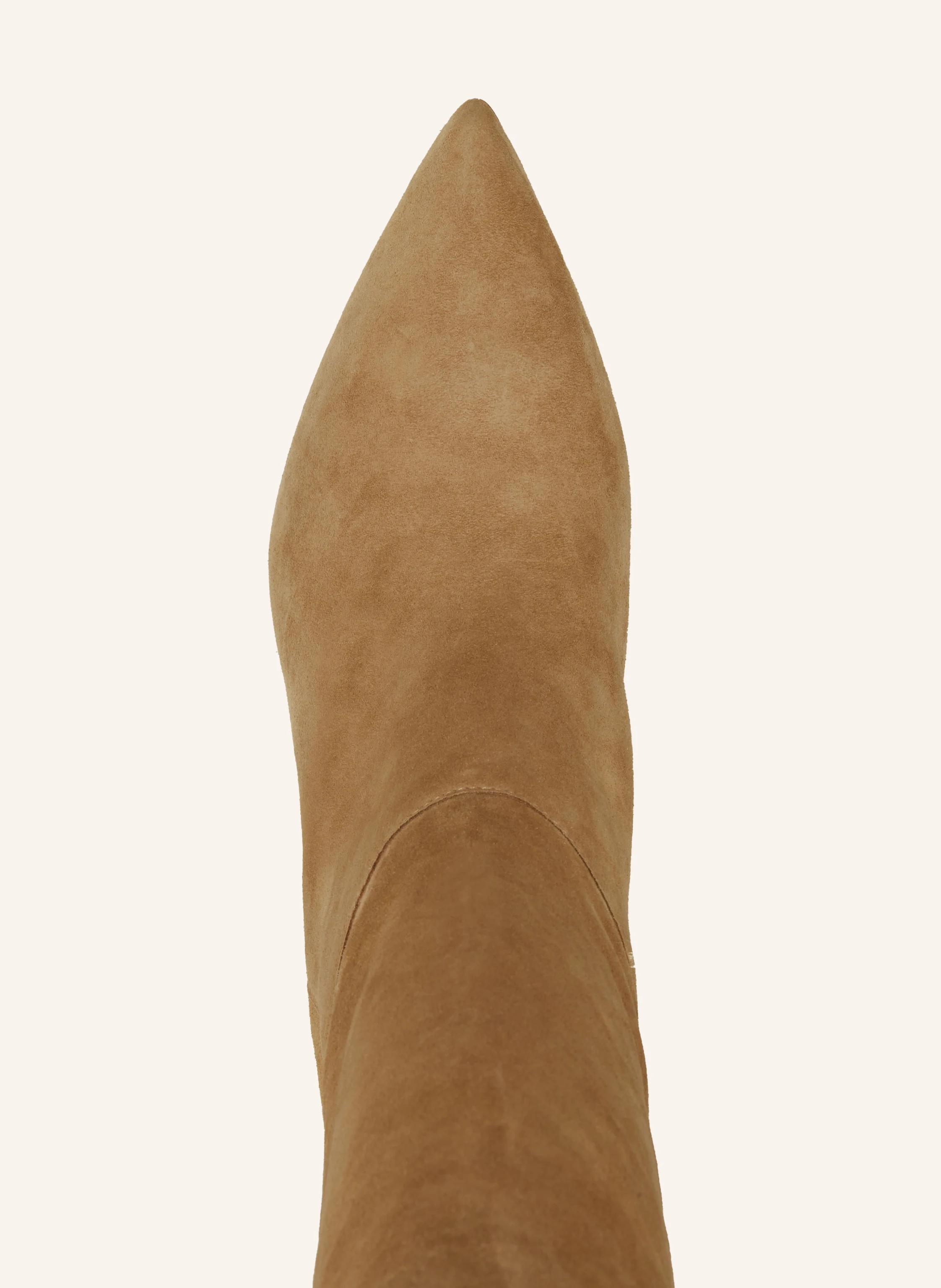 LAUREN RALPH LAUREN Stiefel LEANNAH
