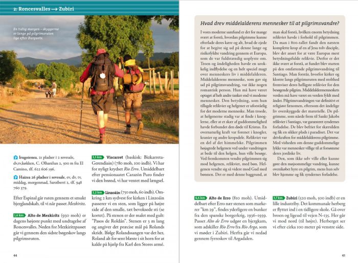 Pilgrimsvandring til Santiao de Comp.