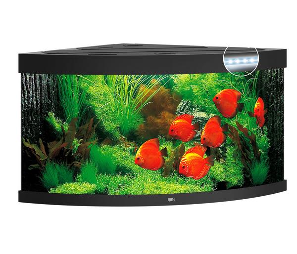 JUWEL® AQUARIUM Trigon 350 LED