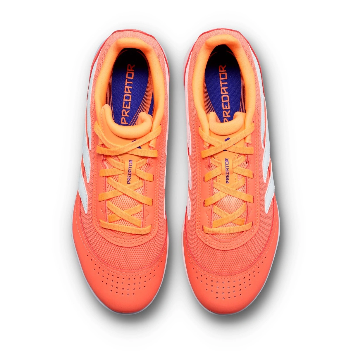 Sapatilha futsal adidas Predator Club In Sala