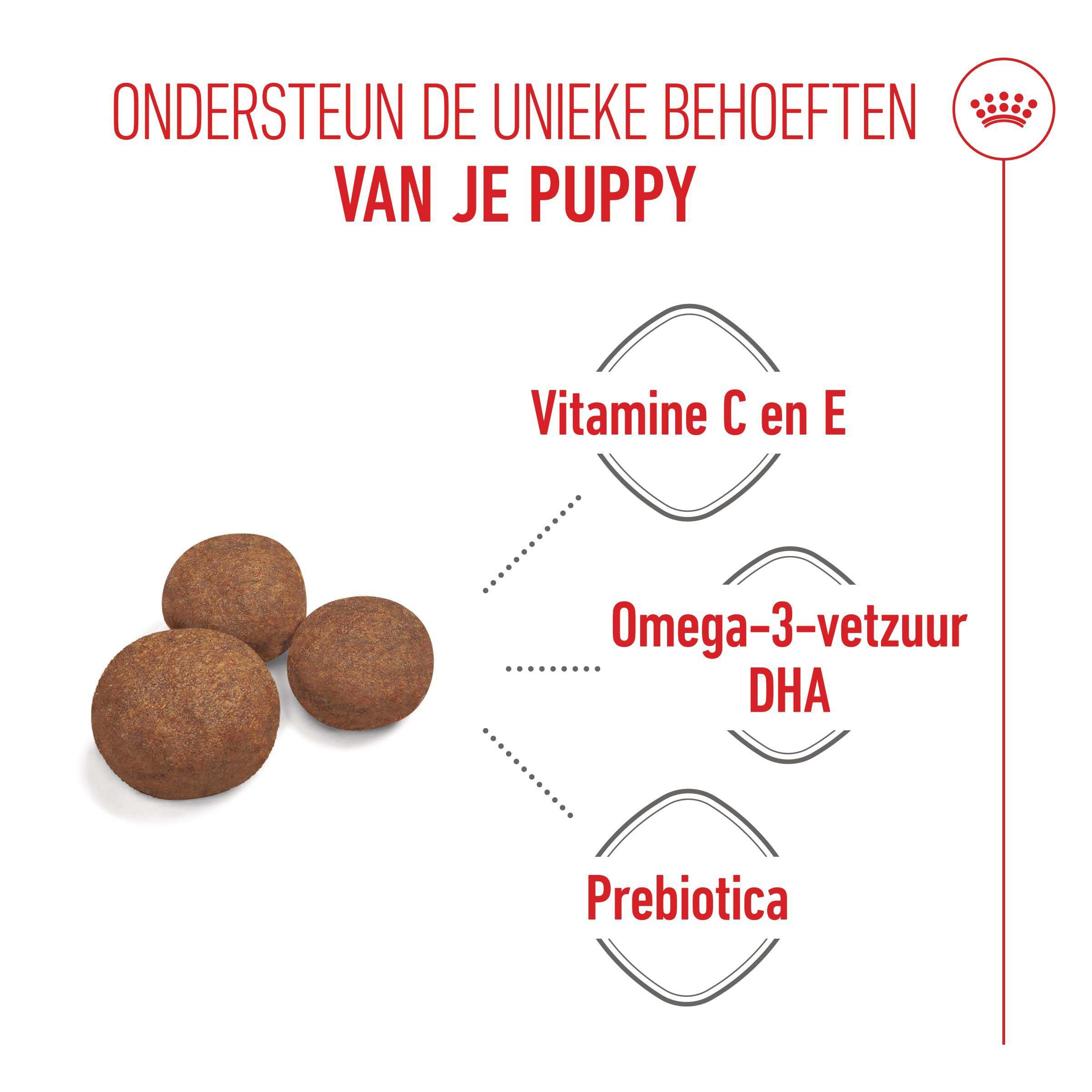 Royal Canin SHN Medium Puppy - Hondenvoer - 3 Kilogram - gevogelte