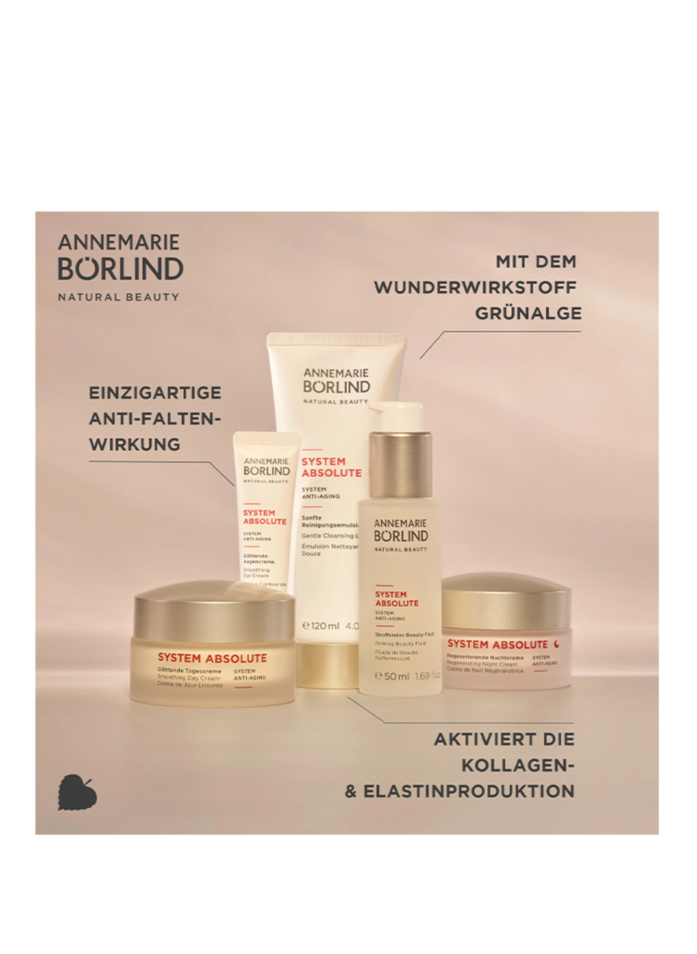 ANNEMARIE BÖRLIND SYSTEM ABSOLUTE