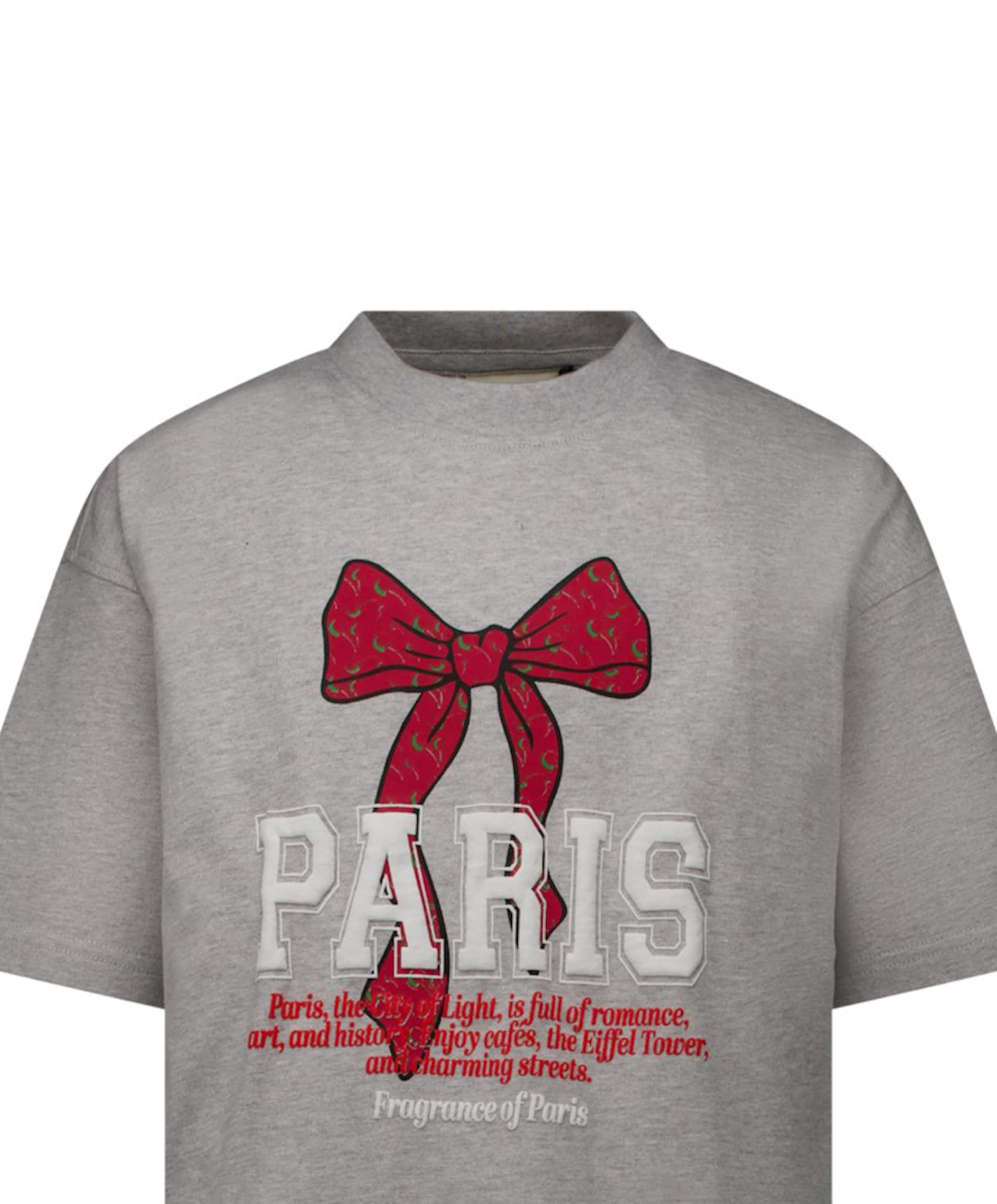 Cars Jeans Meisjes T-shirt grijs