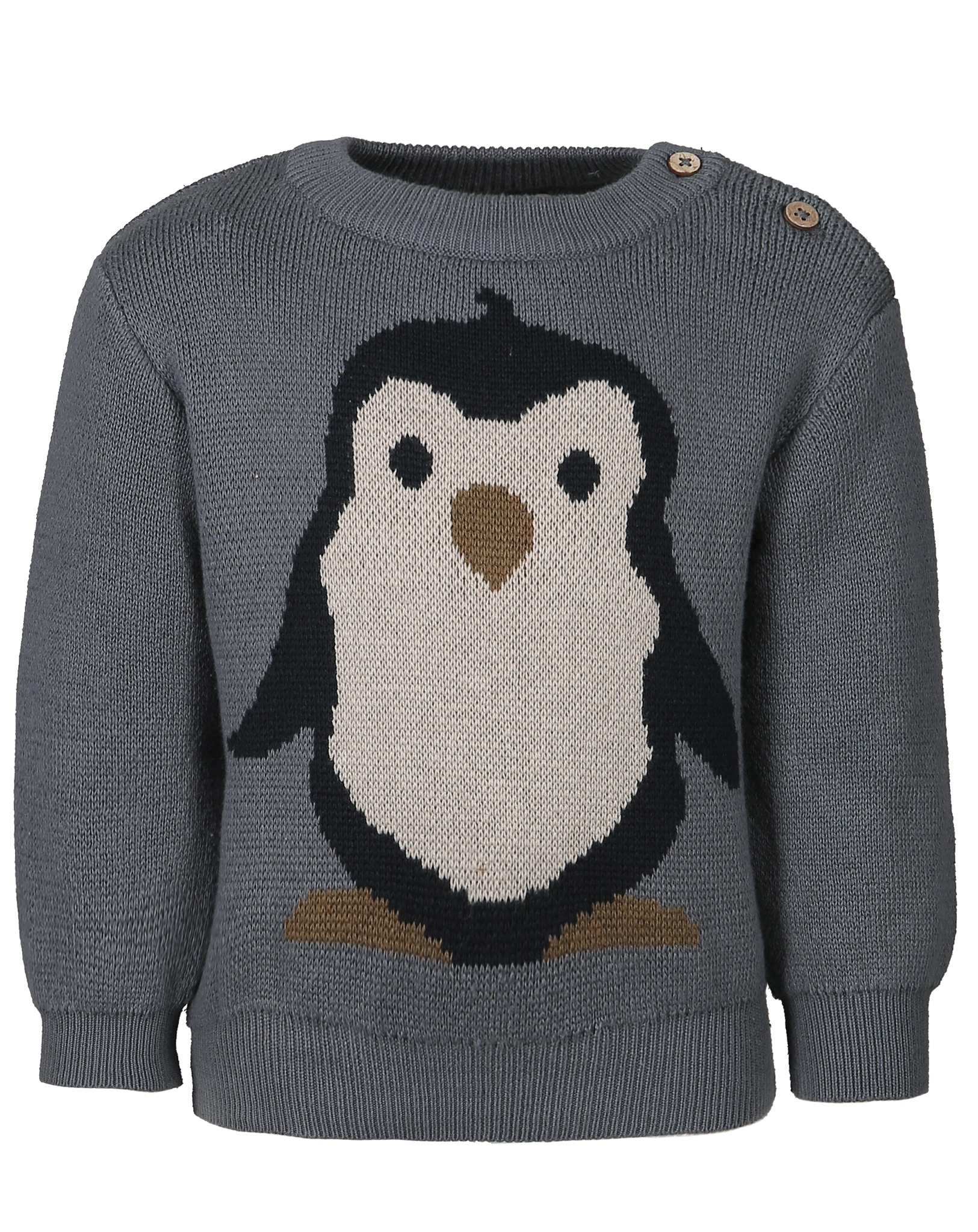 Strick-Pullover PENGUIN in autumn sky