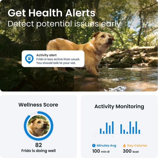 Tractive Dog 6 GPS-tracker (brun)