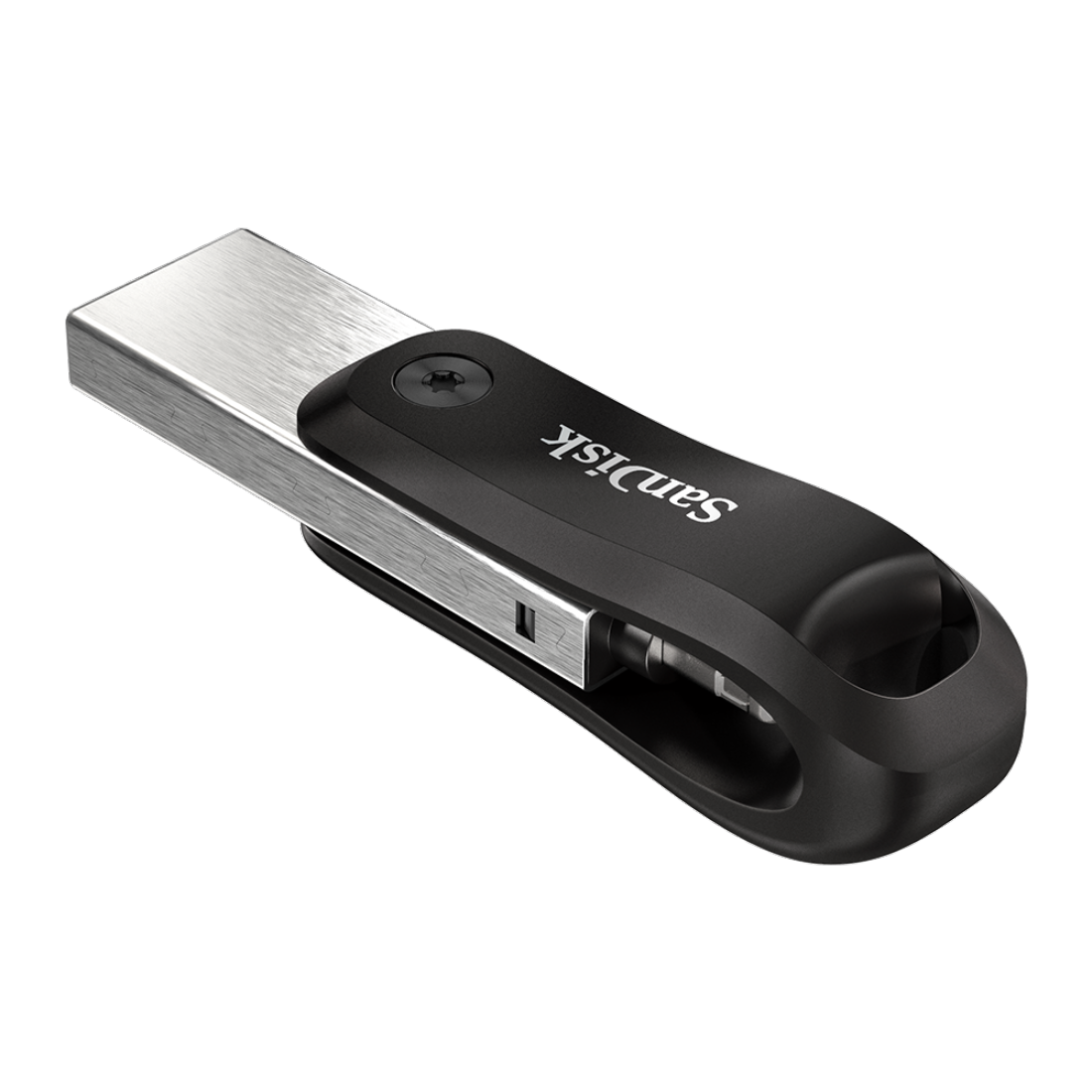 (256GB) iXpand Flash Drive Go Lightning Speicher Stick Flash Drive für Smartphones / Tablets (SDIX60N-256G-GN6NE) - Schwarz / Silber