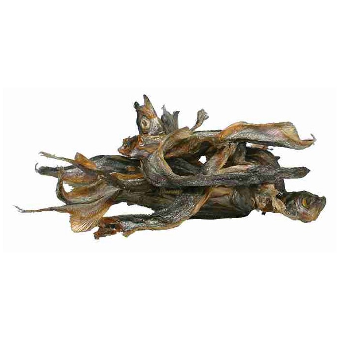 Poisson séché
