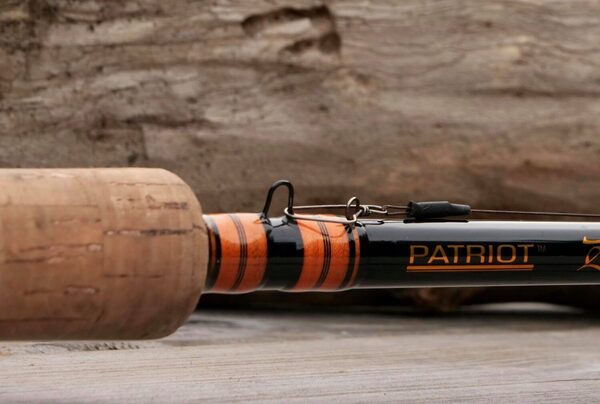 Canne Casting Patriot Pike Specialist Hyrräkelavapa 2.44m (15-75g)