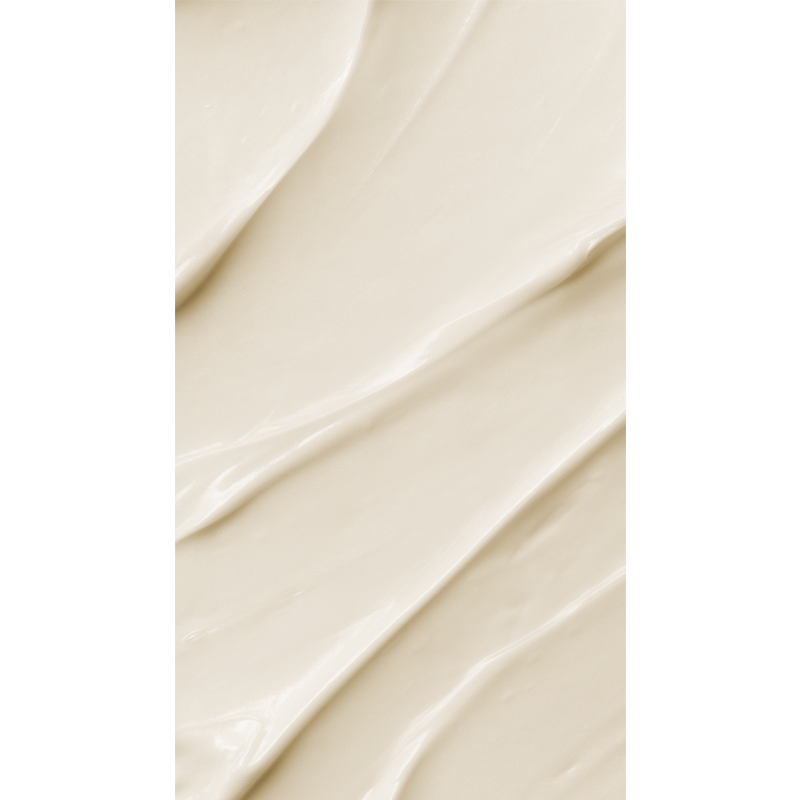 Shiseido WASO Mega Hydrating Moisturizer 50 ml
