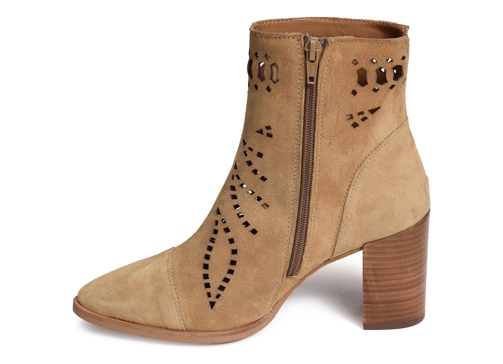 Senses 5031 camel