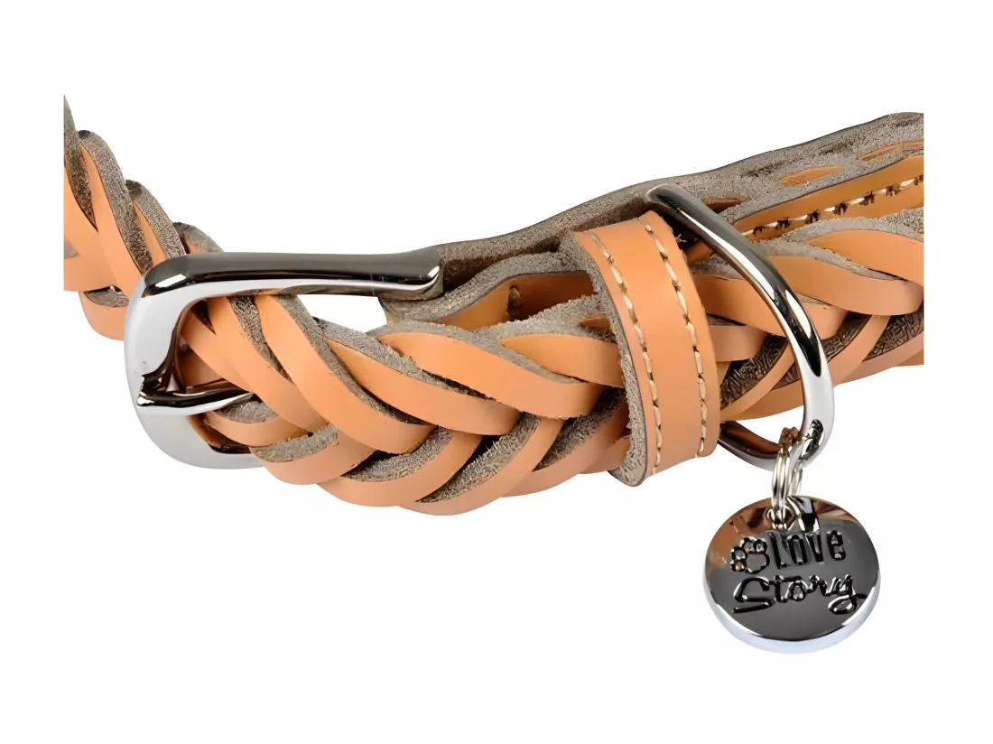 Collier règlable en cuir tressé pour chien - Beige - Taille L (de 50 à 70 cm)