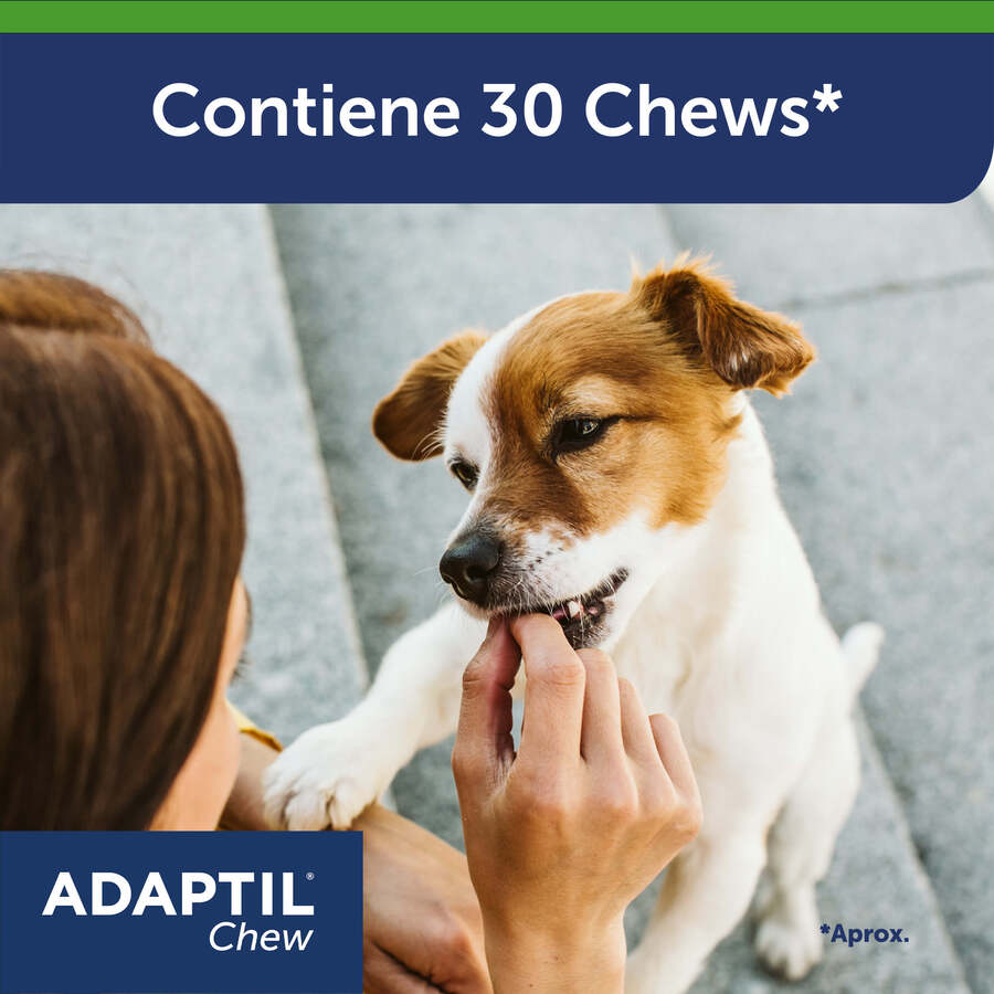 Comprimidos Relaxantes Adaptil para Estresse Ocasional em Cães