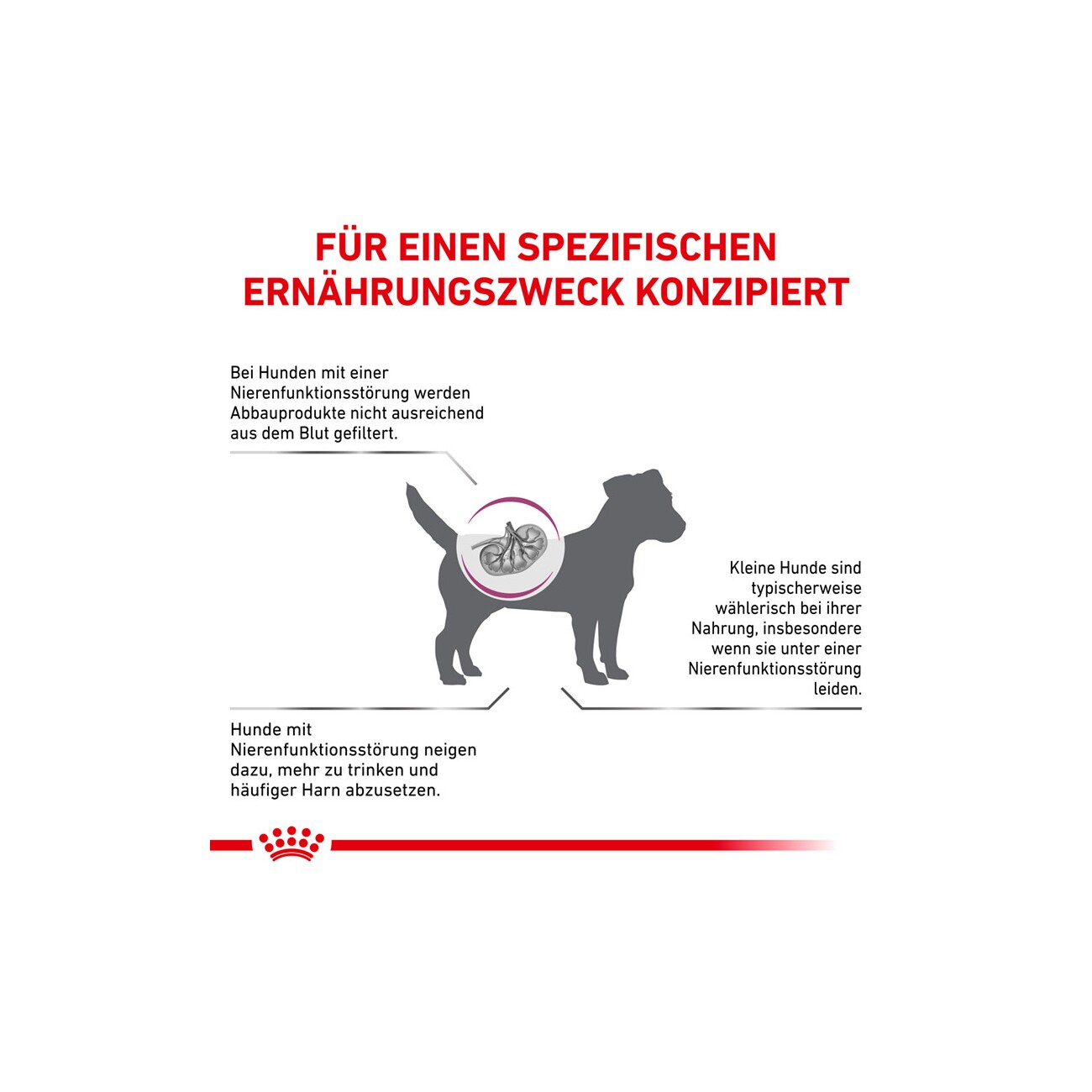 ROYAL CANIN Veterinary RENAL SMALL DOGS 1,5 kg