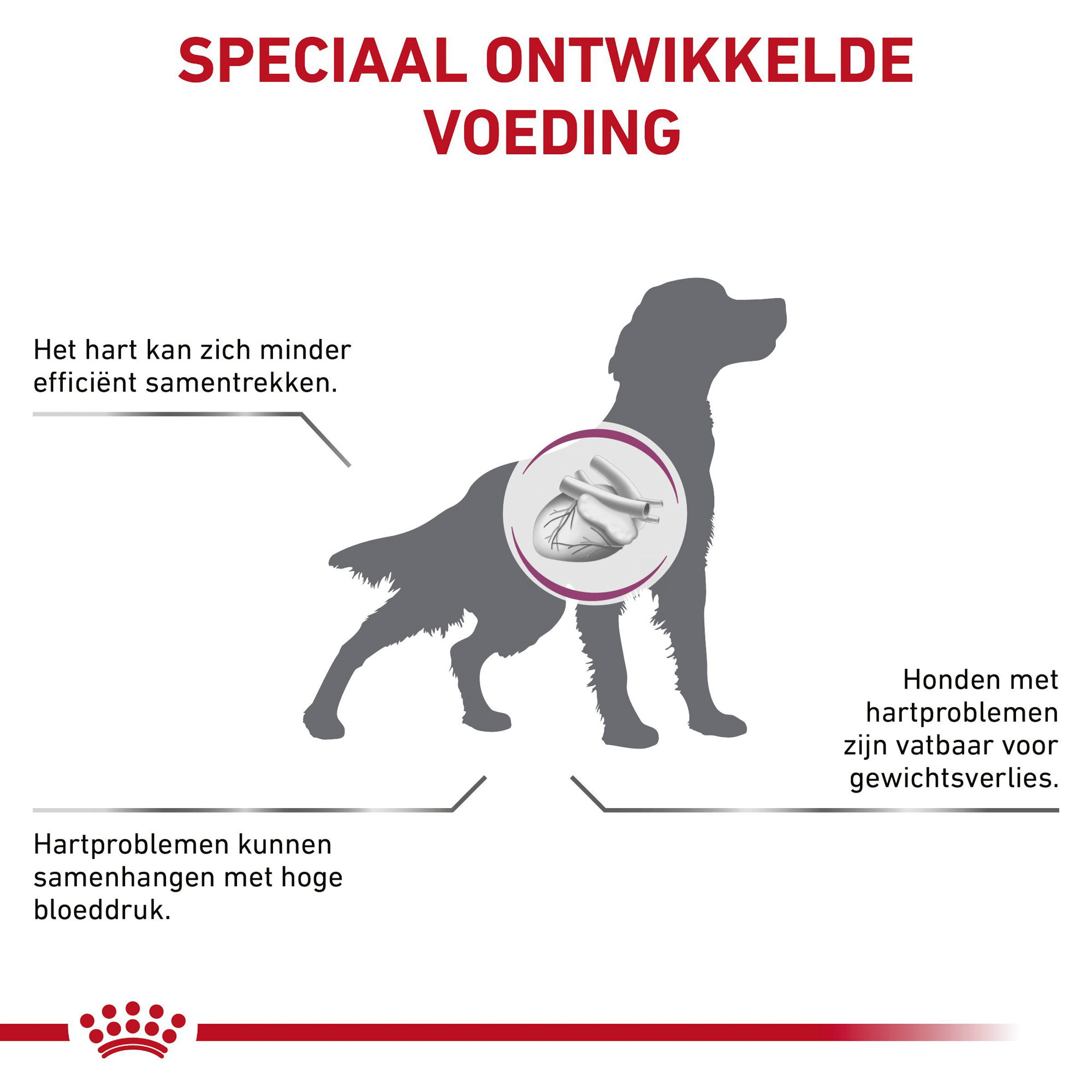 Royal Canin Cardiac Hond - Blik
