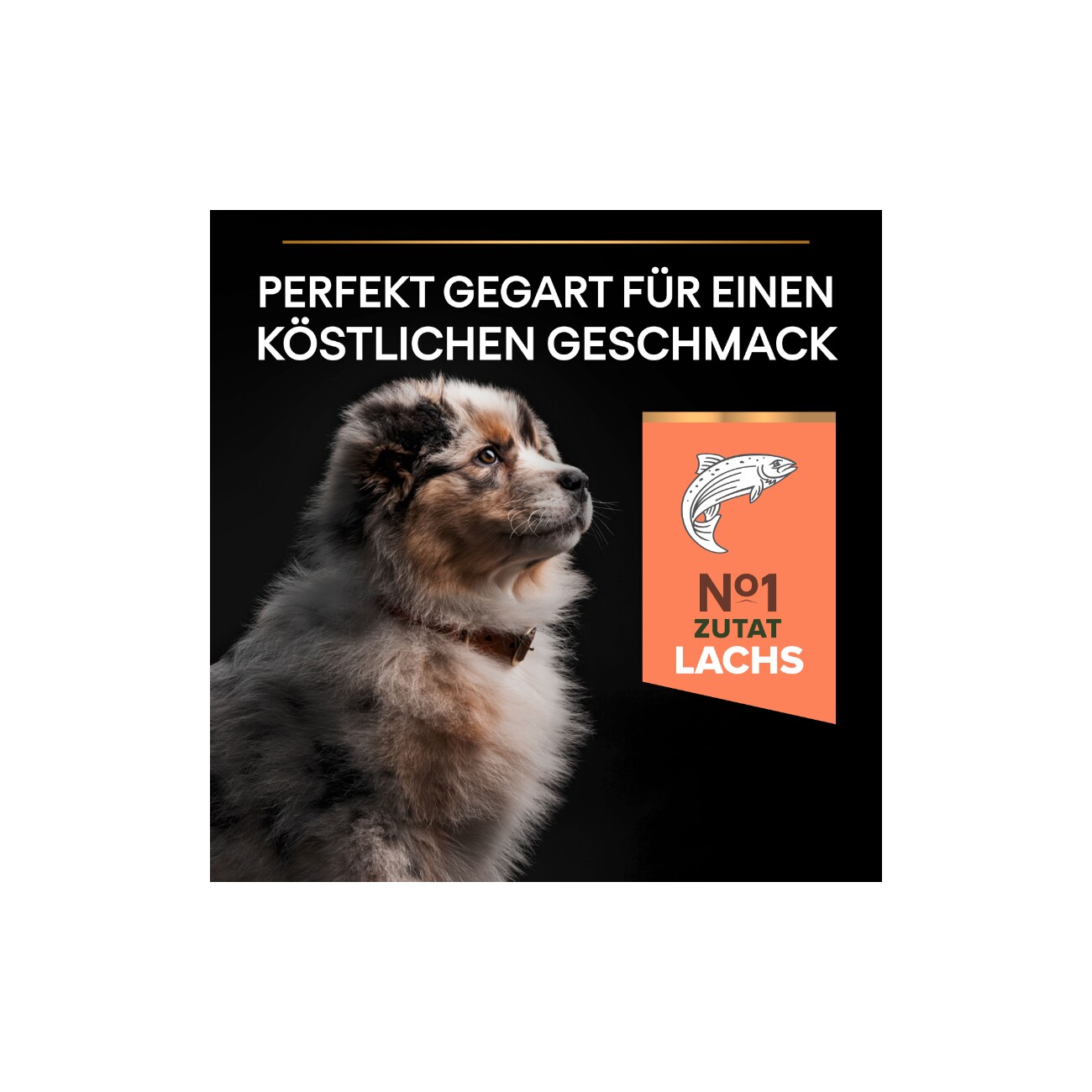 PRO PLAN Puppy Medium Sensitive Skin Lachs 3 kg