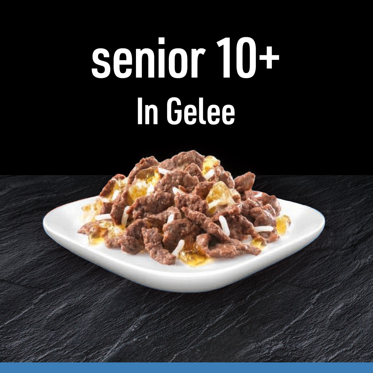 Cesar Mega Pack Portionsbeutel Senior 10+ in Gelee 4 Varietäten 40x100g
