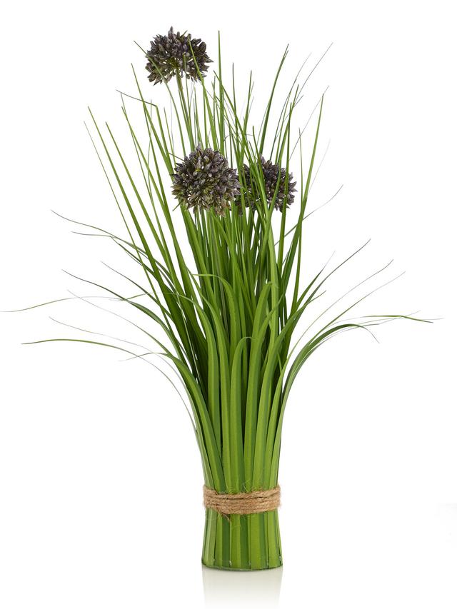 Stehgras mit Allium
