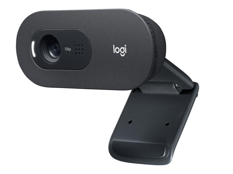 Logitech Webcam C505e HD Bulk HD-Webkamera mit Mikrofon mit grosser Reichweite