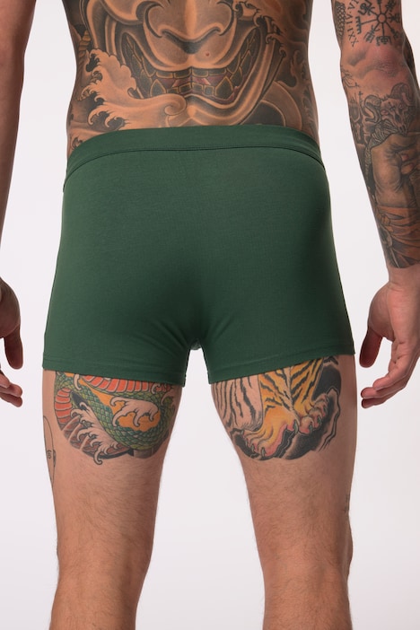 JP AWARE Hip-Pants im 2er-Pack, GOTS zertifizierte Biobaumwolle, Bauchfit, bis 7 XL