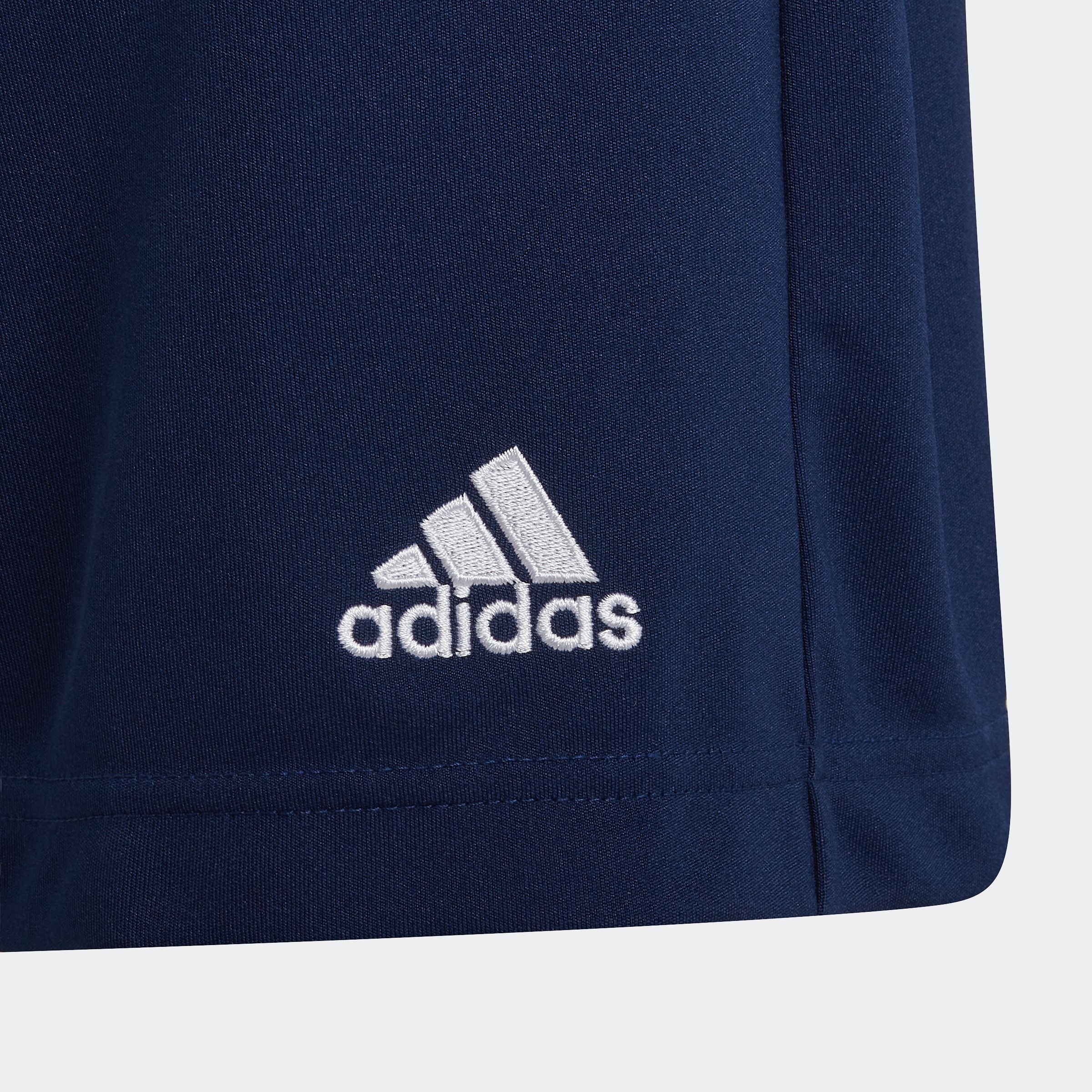 adidas Performance Trainingsshorts »ENT22 TR SHOY«