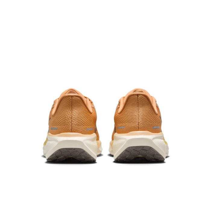 Nike Dame Løbesko Pegasus 41 Brun