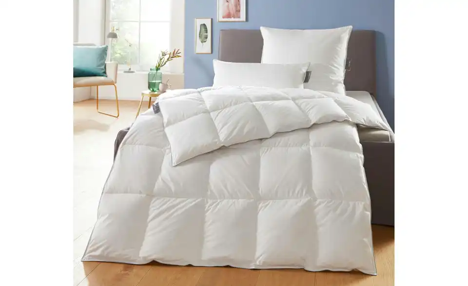 Daunendecke Medium 220 cm 155 cm 760 g