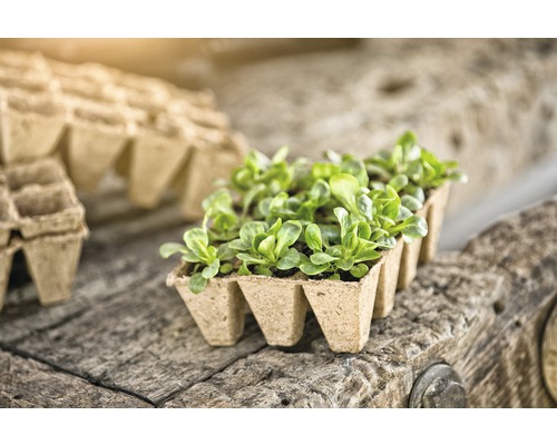 FloraSelf zaailingpotten 4x4x5 cm, 8 planttrays x 6 plantopties = 48 zaailingpotten