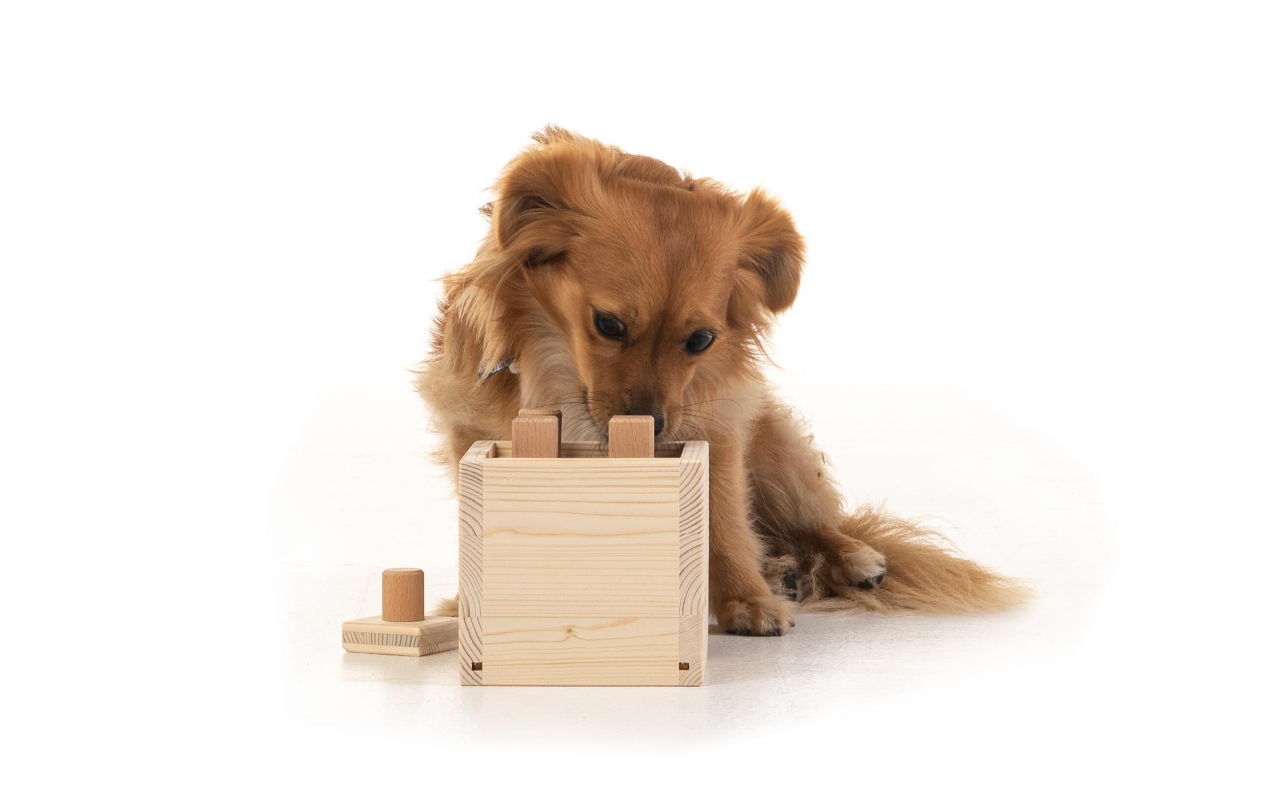 Strategie-Spiel Babuschka, mittelschwerHolzspiel für «Knobel-Hunde»