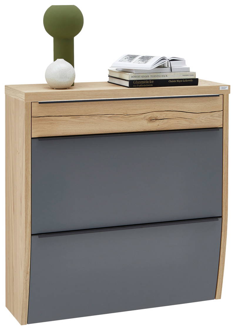 Dieter Knoll Hängeschuhschrank ARCO TREND