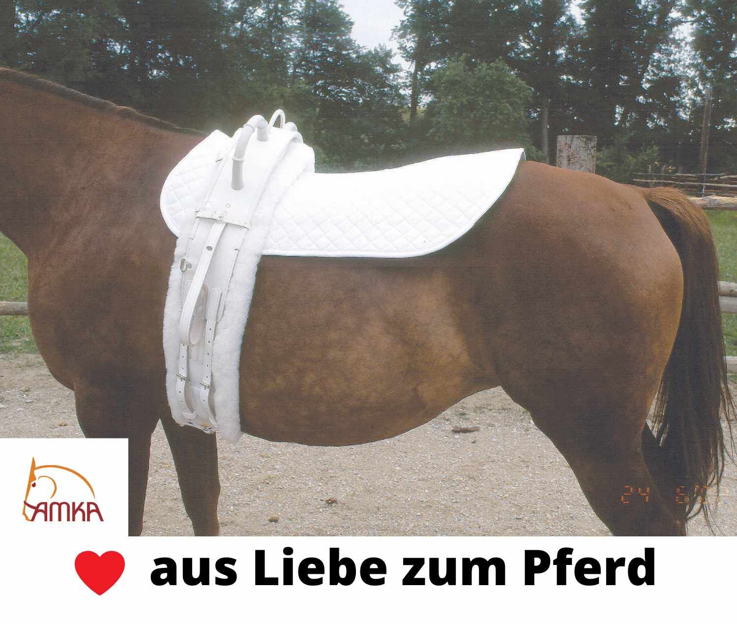 AMKA Voltigiergurt Cheval