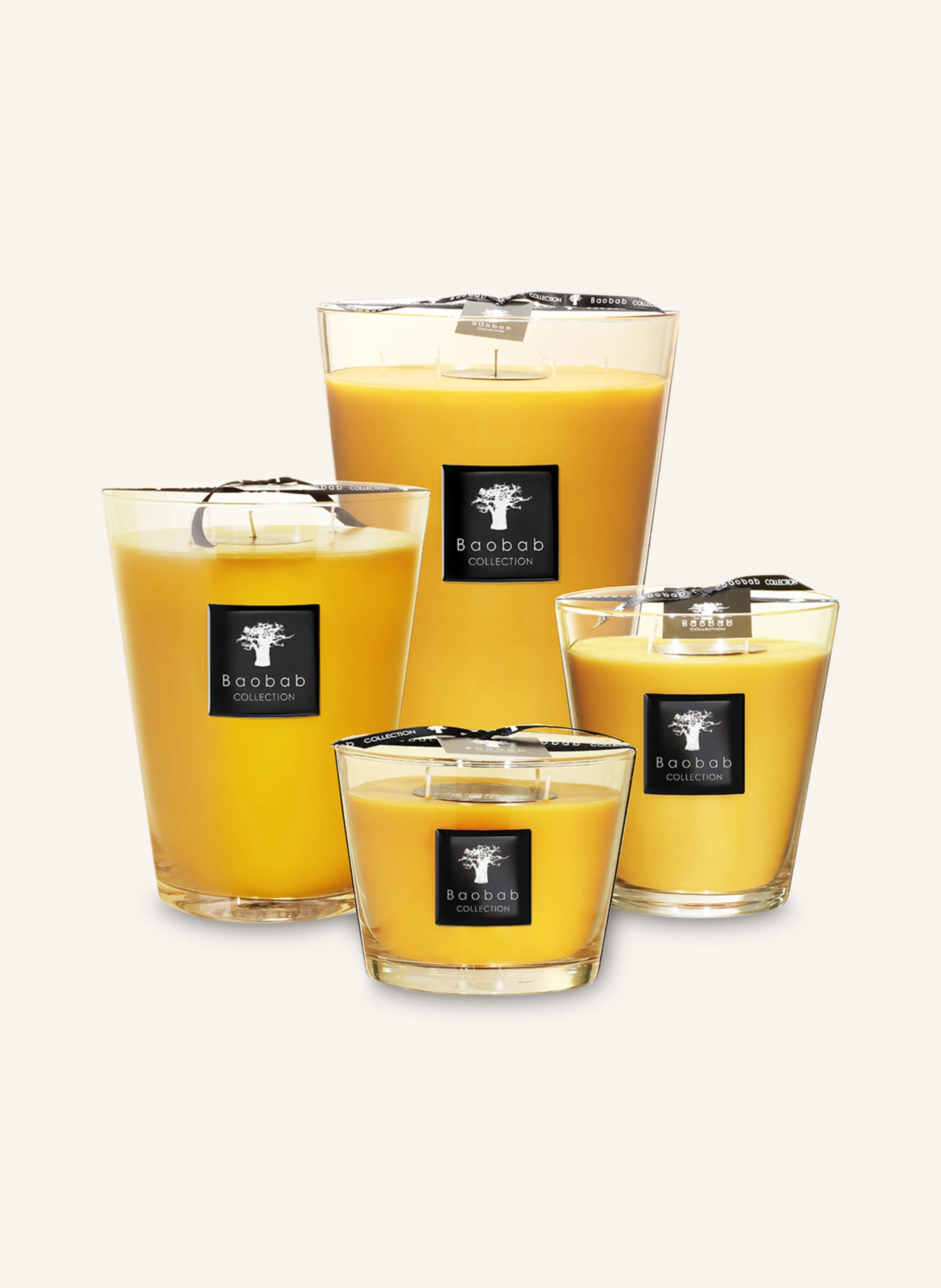 Baobab COLLECTION Duftkerze ZANZIBAR SPICES
