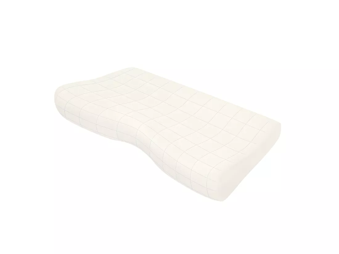 Lot de 2 oreillers INPHYSIO Confort Plus avec taies d'oreiller en bambou