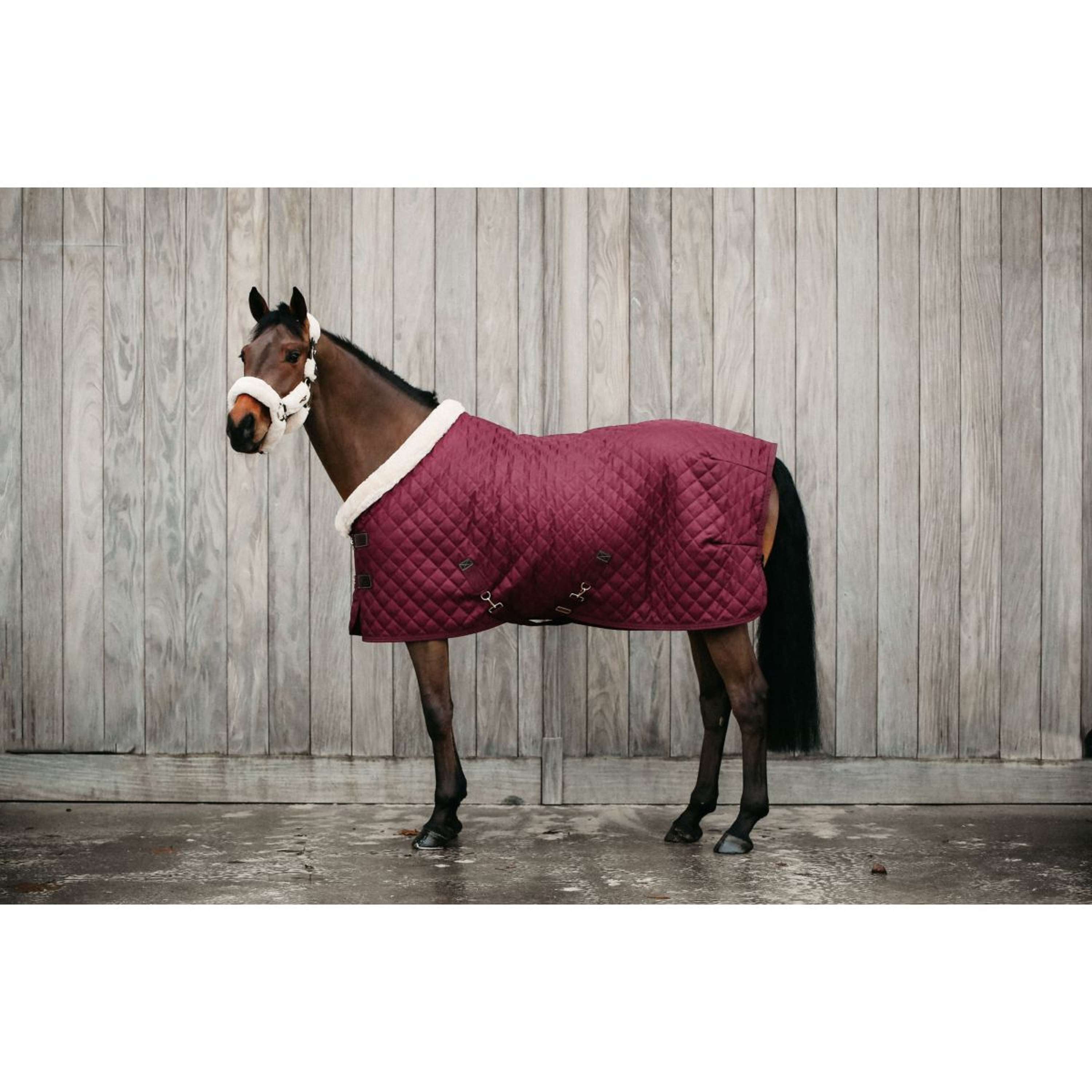 Kentucky Showdeken 160g Bordeaux