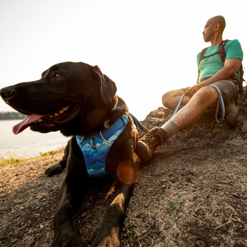Harnais Ruffwear Front Range, bleu foncé