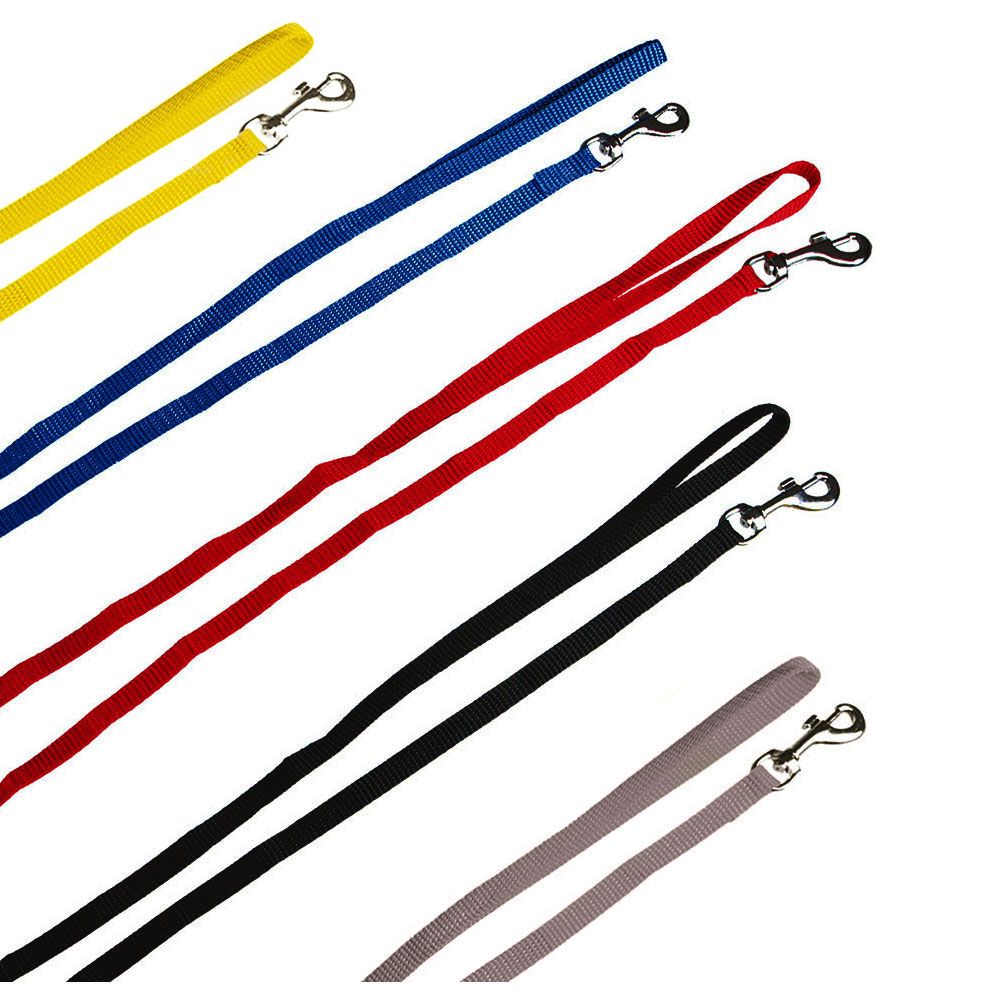 Schecker - Welpenleine 1m lang - 10mm breit - Nylonleine - ideal für Züchter
