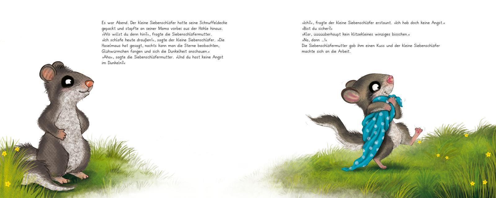 Die Geschichte vom kleinen Siebenschläfer, der überhaupt keine Angst im Dunkeln hatte / Der kleine Siebenschläfer Bd.5