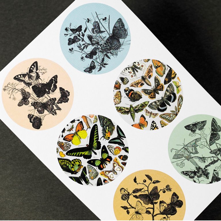 Pepin Label- und Stickerbuch