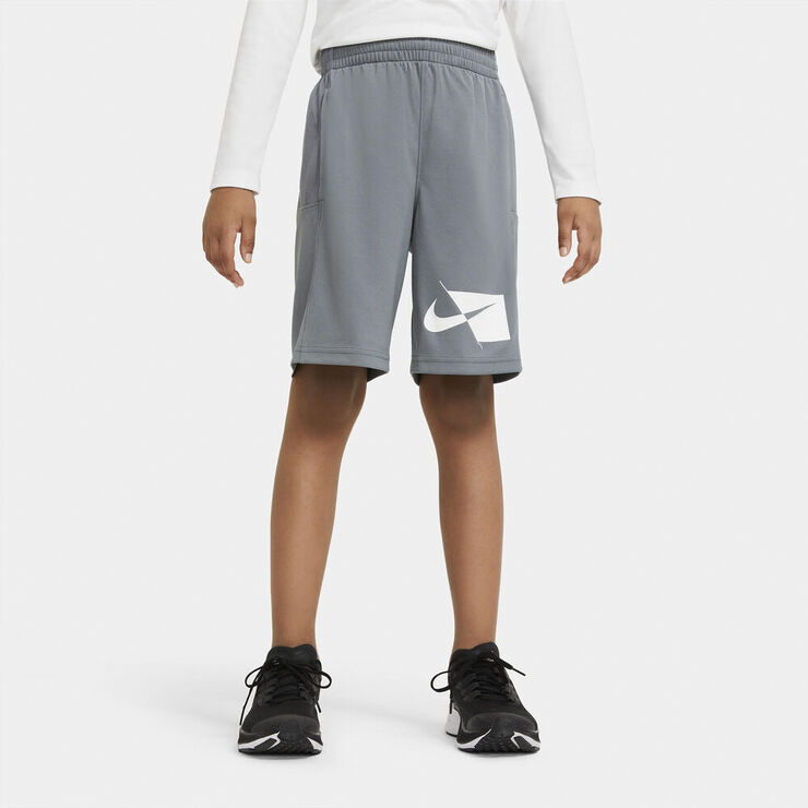 Nike Dri-FIT shorts Grå