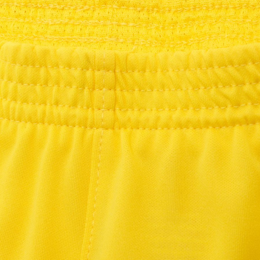 Nike Park 20 Dry Ensemble - Jaune/Noir