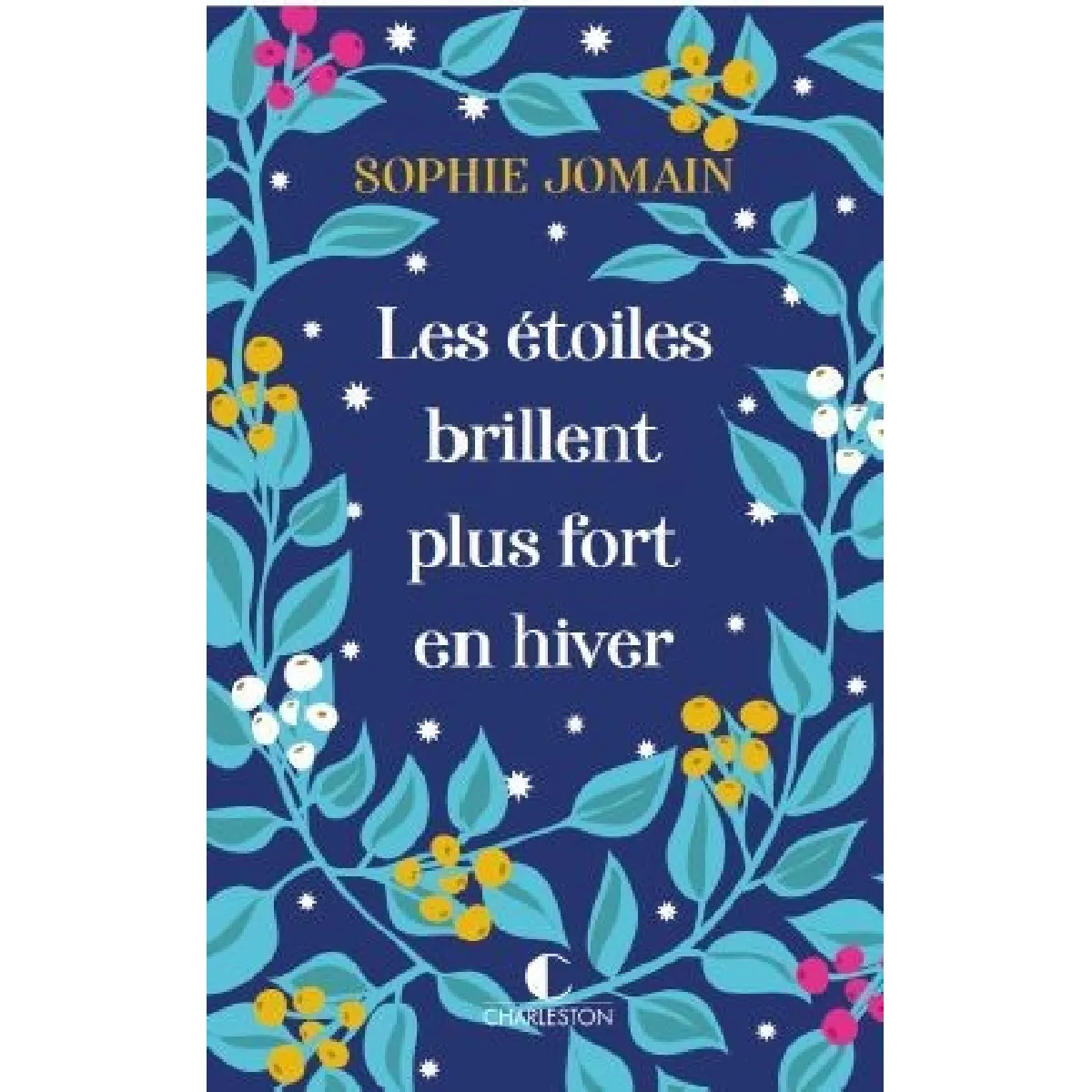 Les étoiles brillent plus fort en hiver · Occasion